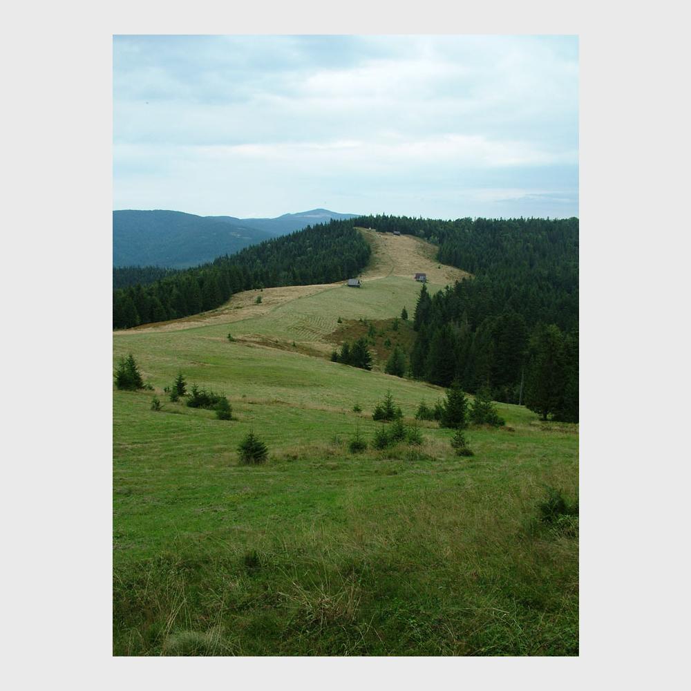 fot. Adam Sołtys